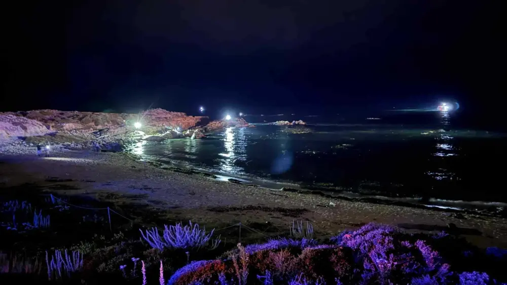 3 bodies recovered after private plane crash off central California coast