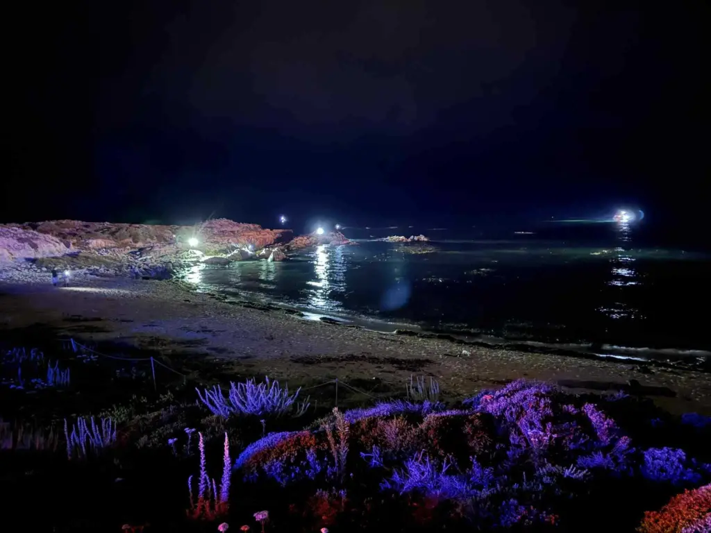 3 bodies recovered after private plane crash off central California coast