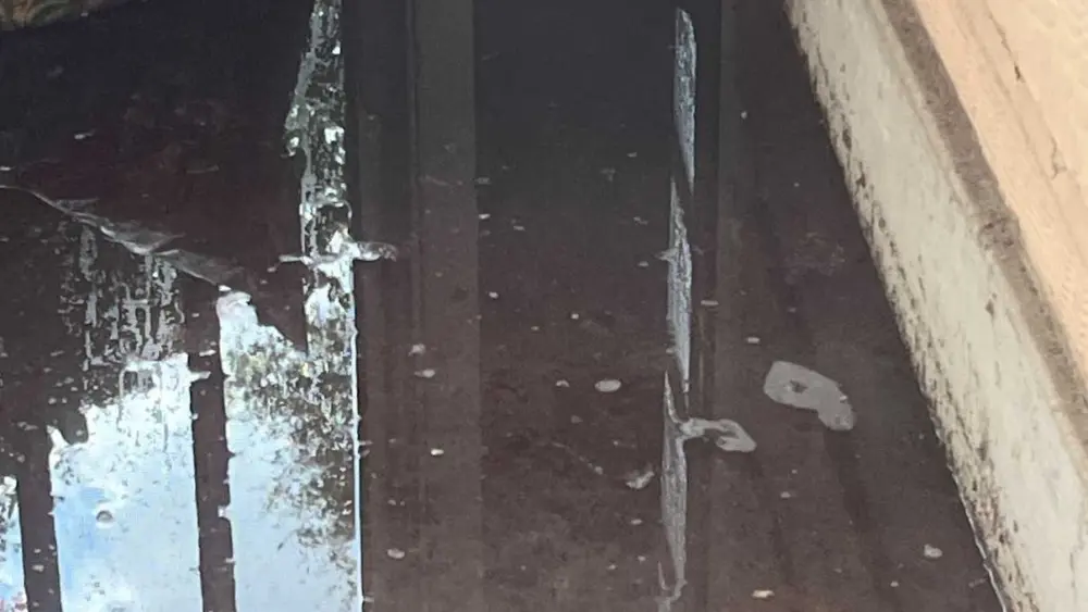 Pooler woman faces steep buyout after repeated apartment flooding