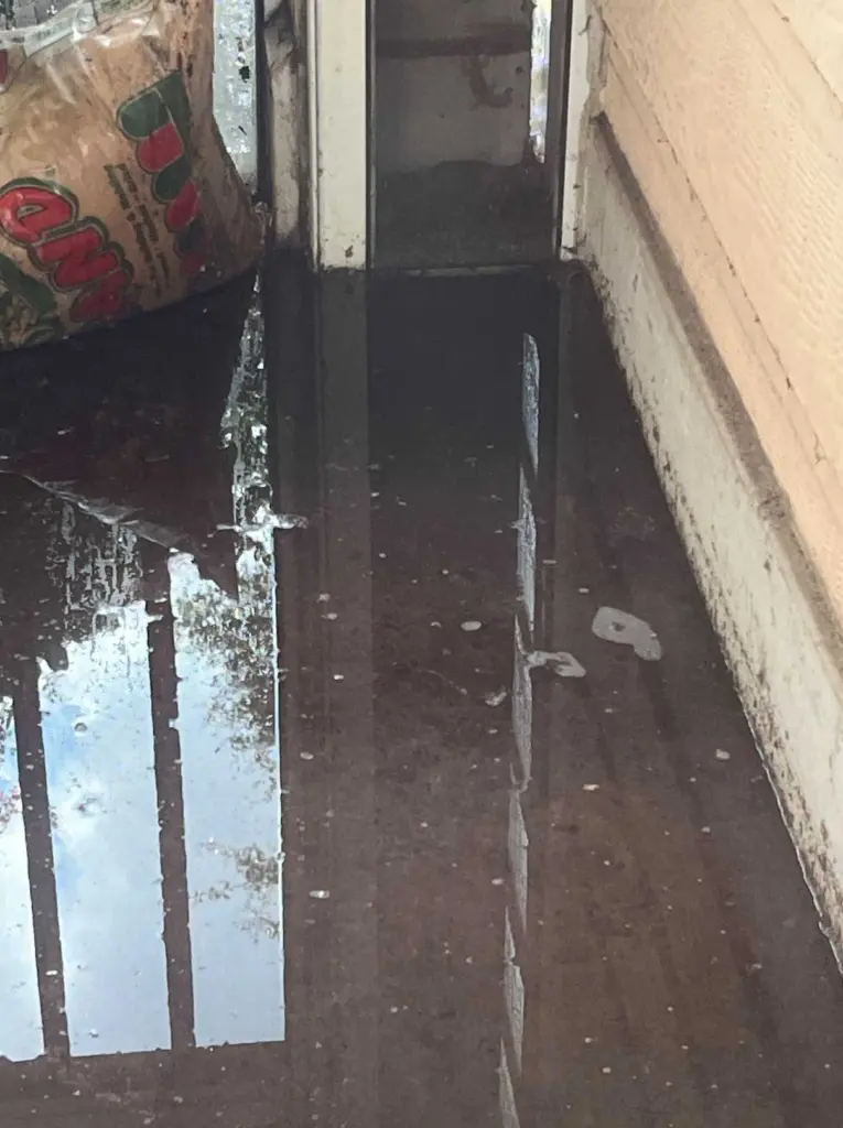 Pooler woman faces steep buyout after repeated apartment flooding
