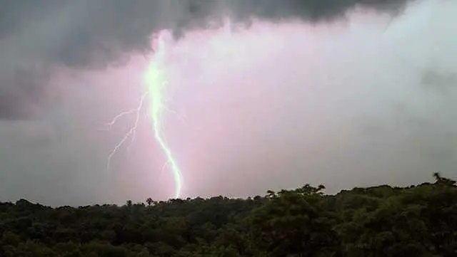 Worker struck by lightning in South Carolina, taken to hospital