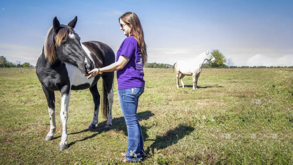Veterinarian urges vaccinations after deadly EEE cases in South Carolina horses