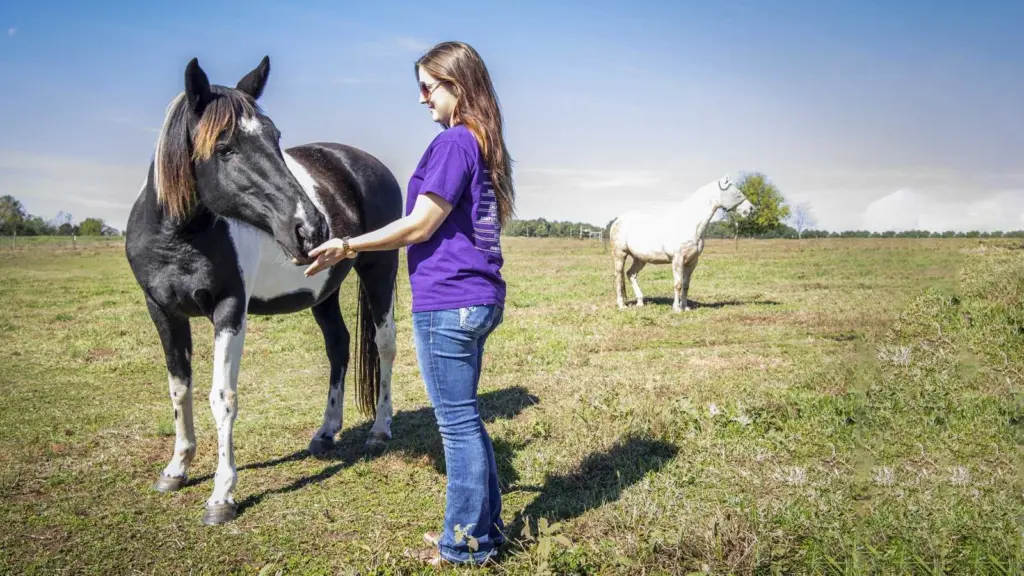 Veterinarian urges vaccinations after deadly EEE cases in South Carolina horses