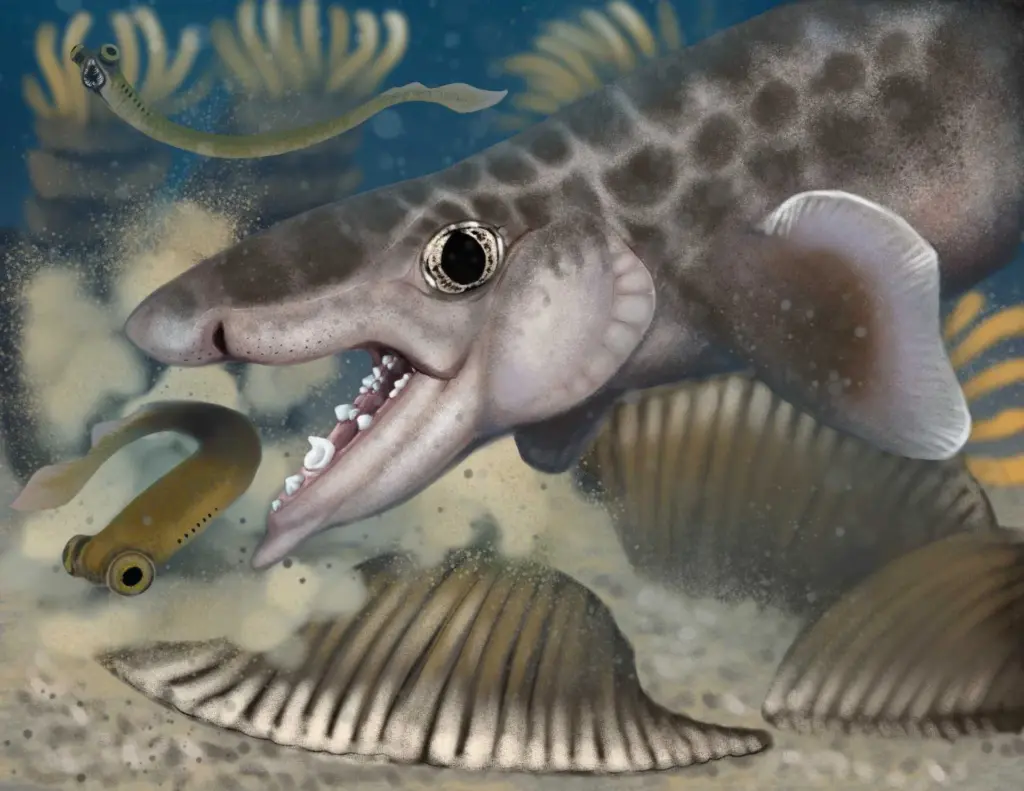 New species of ancient shark discovered at Kentucky's Mammoth Cave