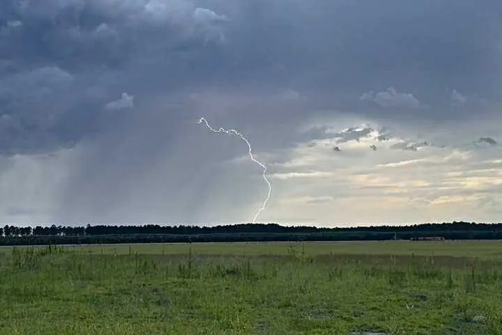 Lightning strike ignites brush fire on Pinckney Island; no threat to public