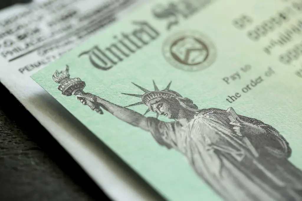 Could tariff revenue become rebate checks for Americans?