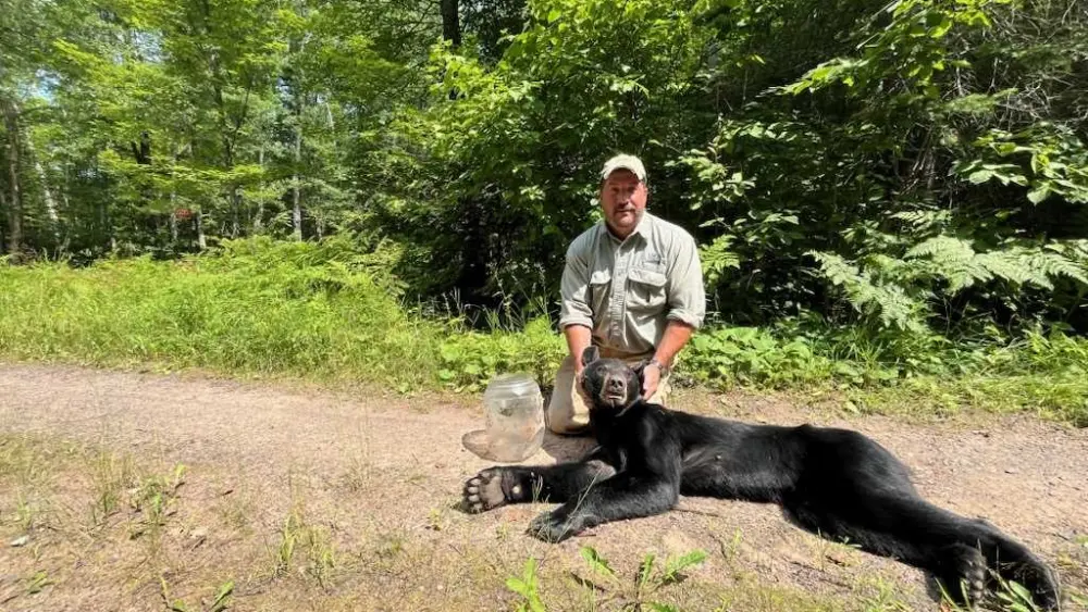Plastic jug removed from bear's head