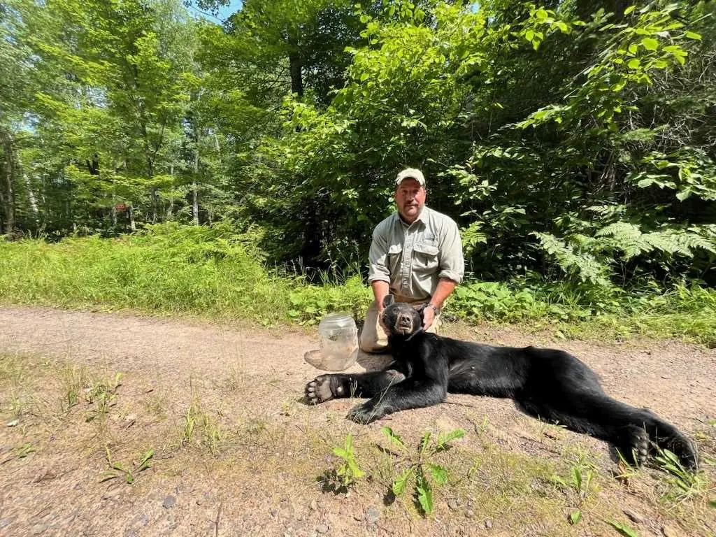 Plastic jug removed from bear's head