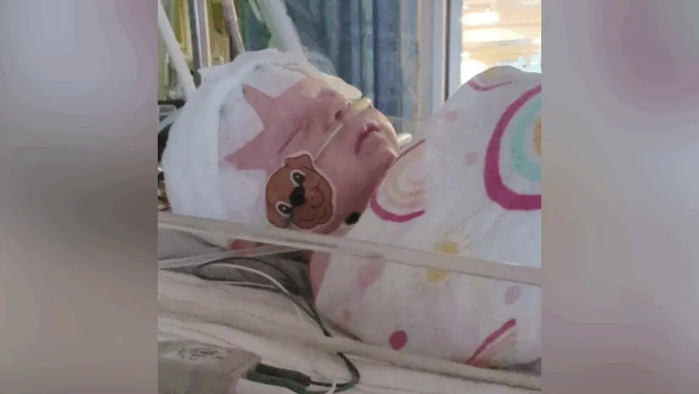 Rare tick-borne Powassan virus suspected in Massachusetts newborn, mom says