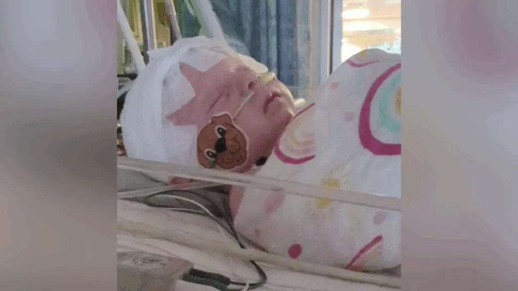 Rare tick-borne Powassan virus suspected in Massachusetts newborn, mom says