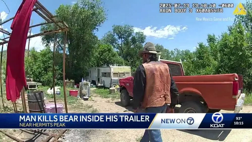New Mexico man kills bear inside home after break-in