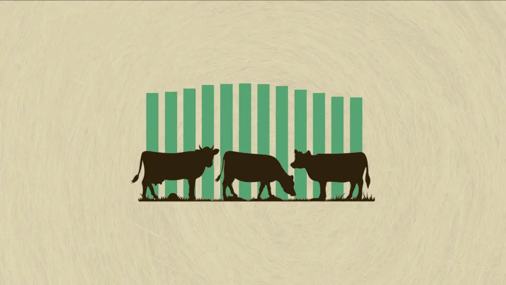 Get the Facts: Why ground beef prices are soaring and could continue
