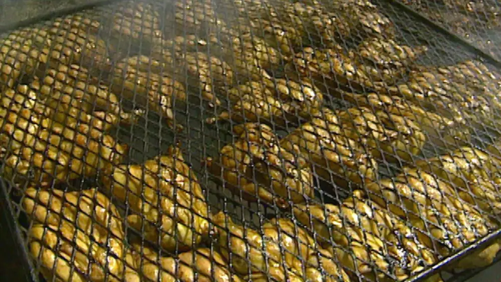 This club barbecued record-breaking 32,000 chickens in 1995