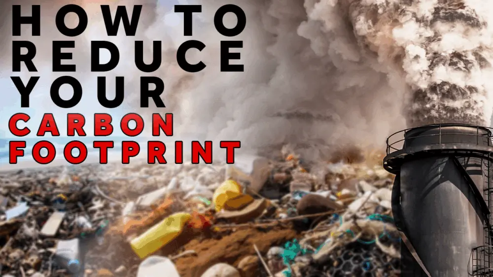Here’s how you can reduce your carbon footprint
