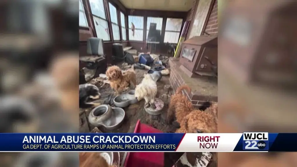 Animal abuse crackdown in Georgia