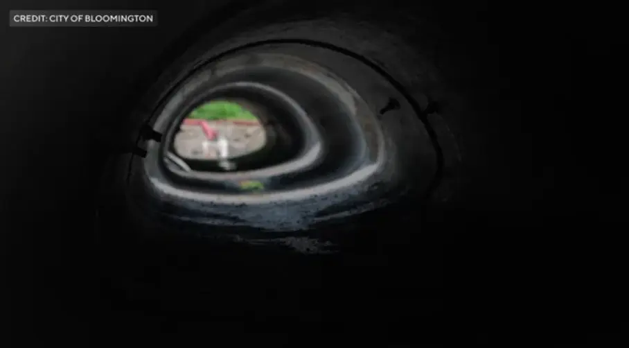 Minnesota town creates safe passage for turtles with a tunnel under busy road