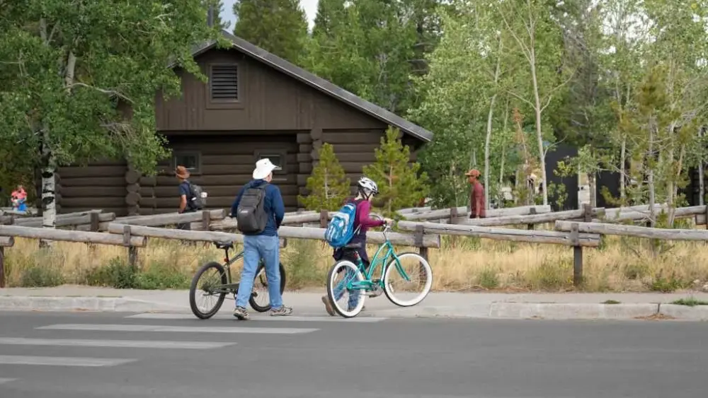 Hundreds may have been exposed to rabies at bat-infested cabins in Grand Teton National Park
