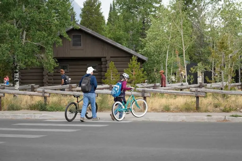 Hundreds may have been exposed to rabies at bat-infested cabins in Grand Teton National Park