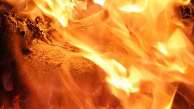 Man and dog die in Fripp Island fire that destroys multiple homes in Beaufort County