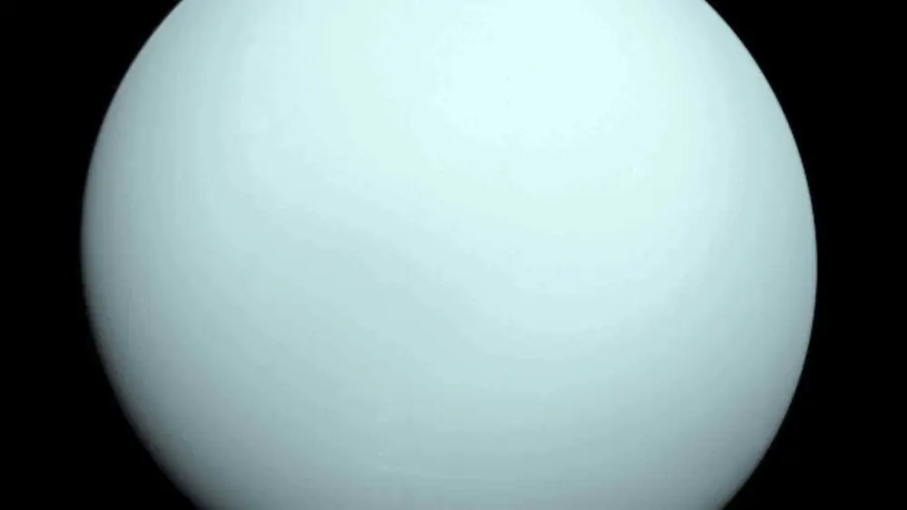 ap268a50bd31186a