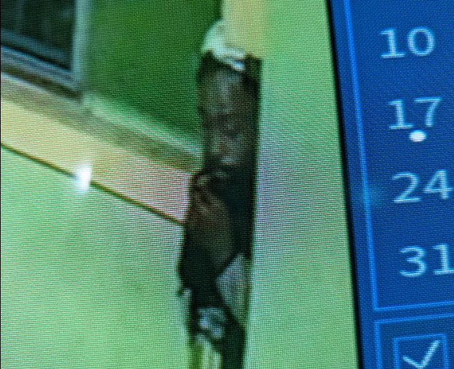 suspect-68a8220179ee9