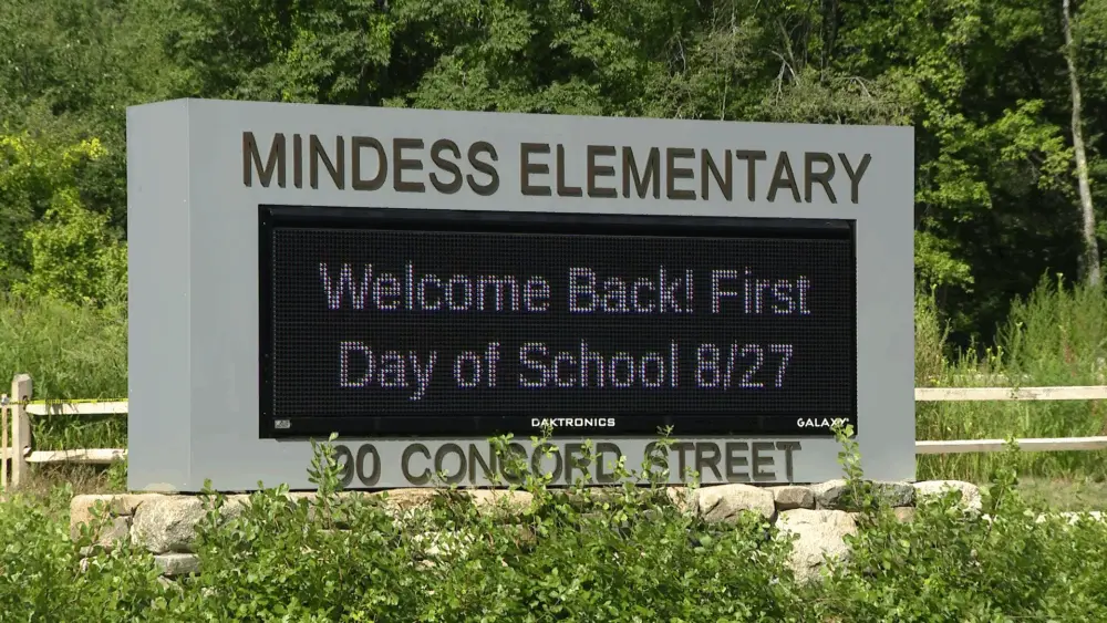 Bee swarm stings 40 students, staff outside Massachusetts school on first day of classes
