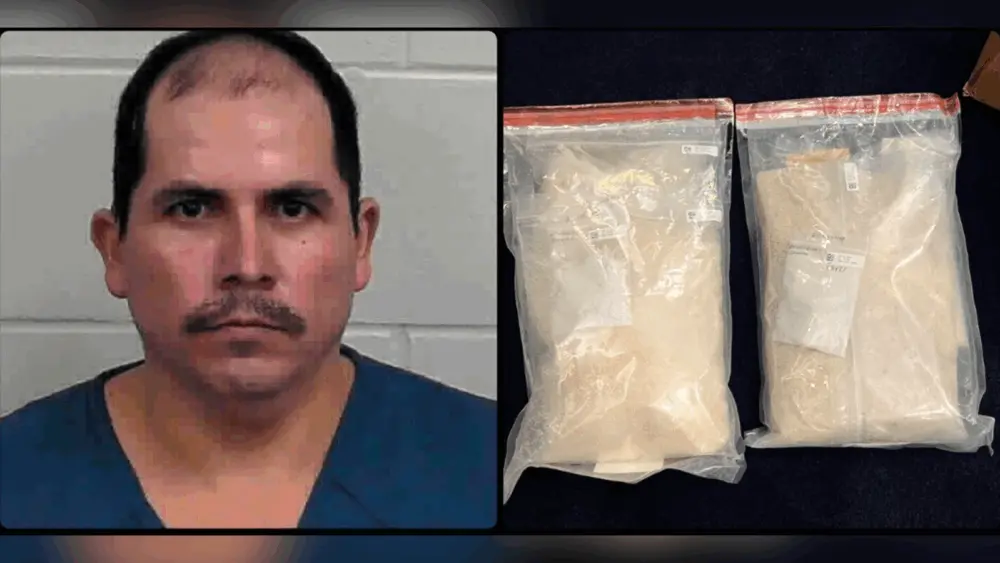 Meth shipment disguised as horse saddle leads to 18-year prison sentence in Georgia