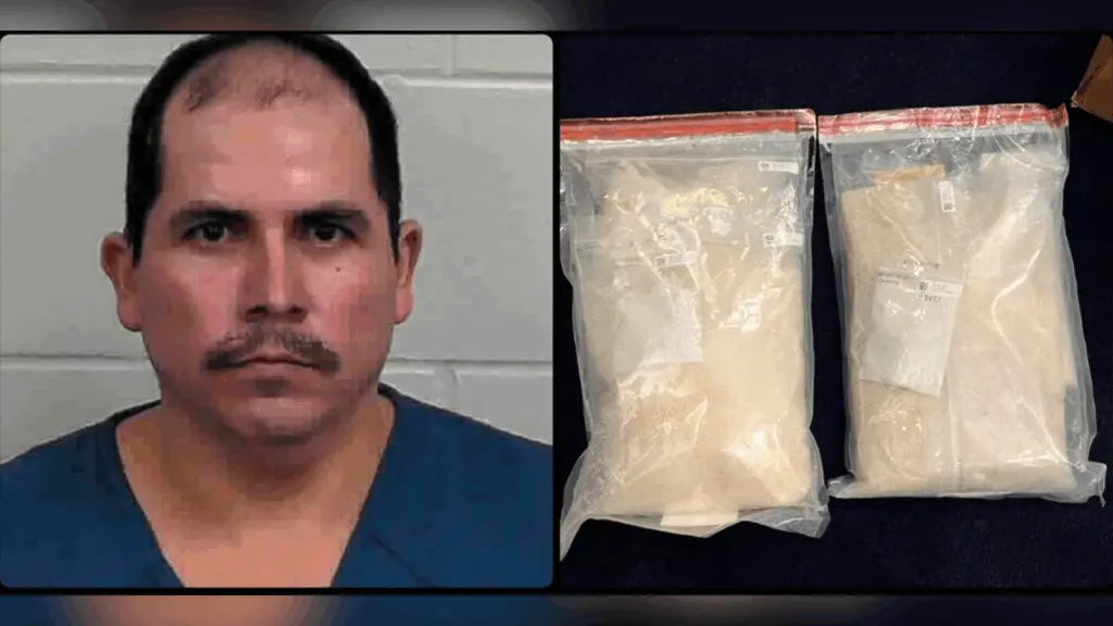 Meth shipment disguised as horse saddle leads to 18-year prison sentence in Georgia
