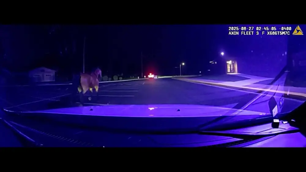 CAUGHT ON CAMERA: Runaway horse corralled by Indiana police two times in one week