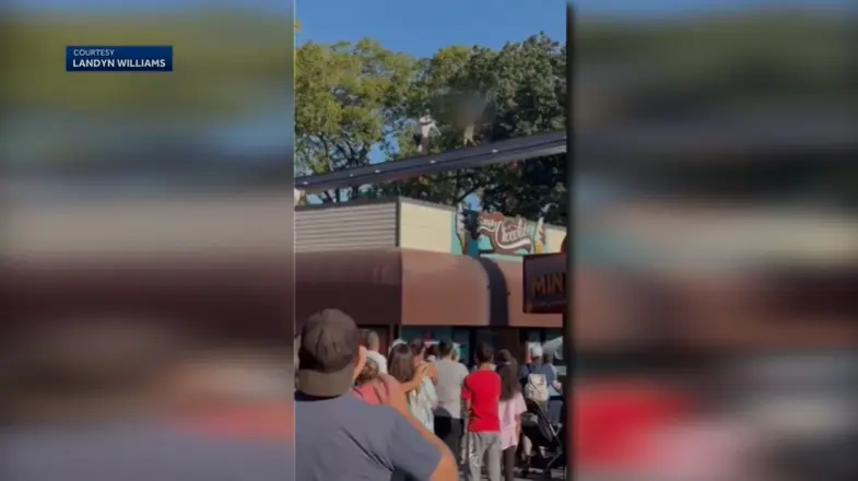 WATCH: Video shows boy walking on monorail tracks at Pennsylvania amusement park