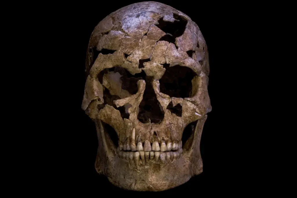 Ice age skeleton with broken neck bone provides rare glimpse into the lives of ancient hunter-gatherers