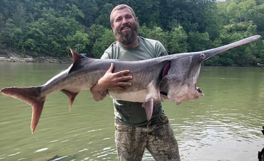 This wild-looking ancient fish took nearly an hour to reel in