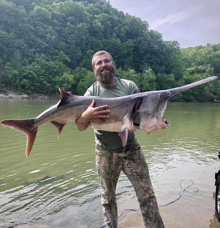 This wild-looking ancient fish took nearly an hour to reel in