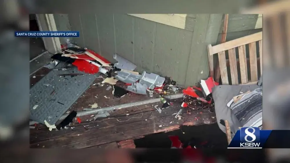 Remote-controlled plane crashes into crowd at California barbecue
