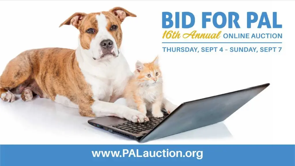 'Let your heart do the bidding': PAL online auction