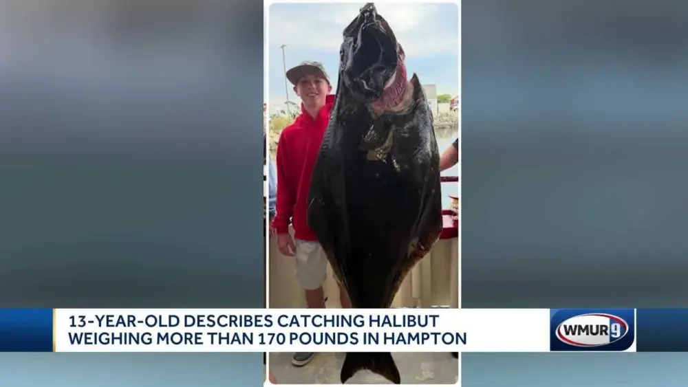 New Hampshire teen hooks potential record-setting halibut