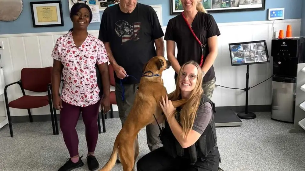 Florida dog reunited with owner thanks to social media, microchip