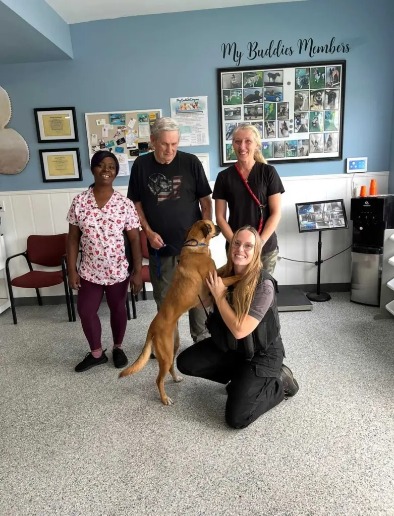 Florida dog reunited with owner thanks to social media, microchip