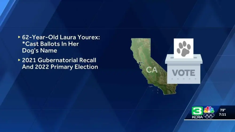 California woman accused of registering dog to vote, casting mail-in ballots