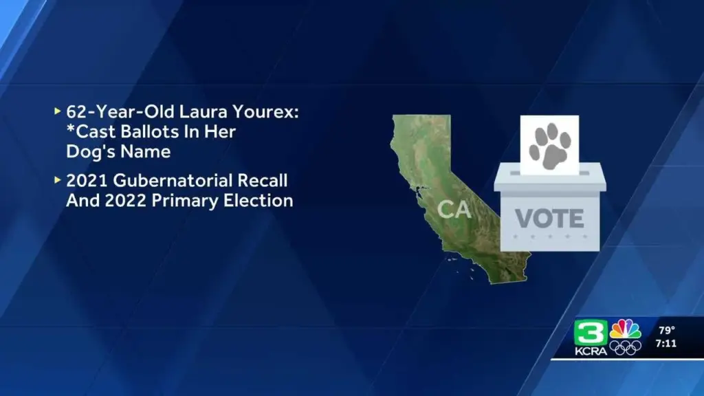California woman accused of registering dog to vote, casting mail-in ballots