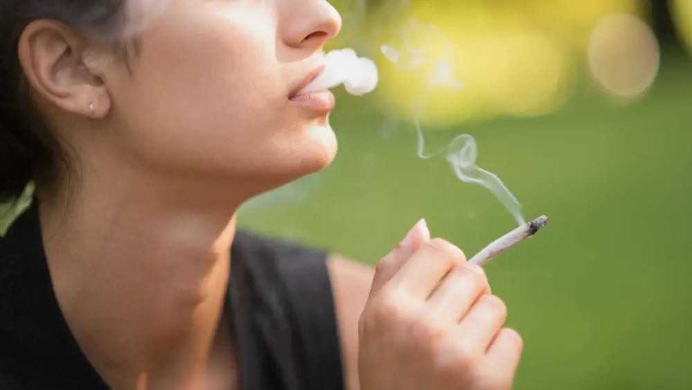Marijuana linked to chromosomal defects in human egg cells, study finds