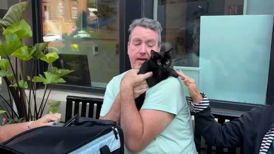 Jelly the cat rescued from Pittsburgh apartment fire: See the emotional reunion