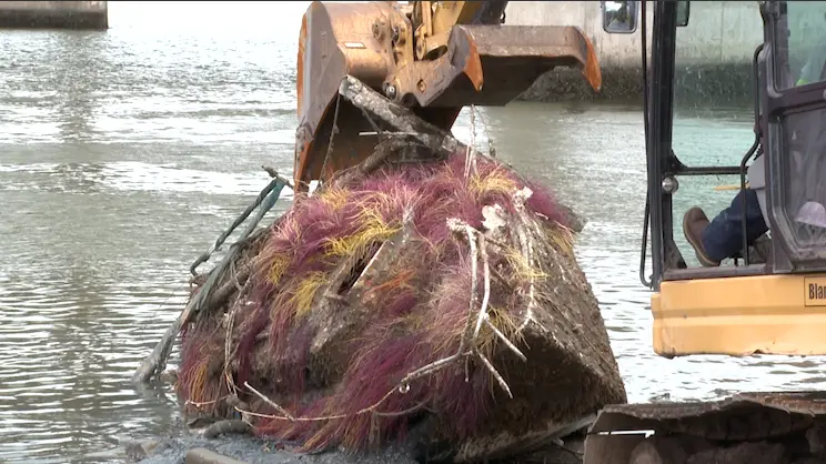 Town of Hilton Head makes headway on abandoned boat removal
