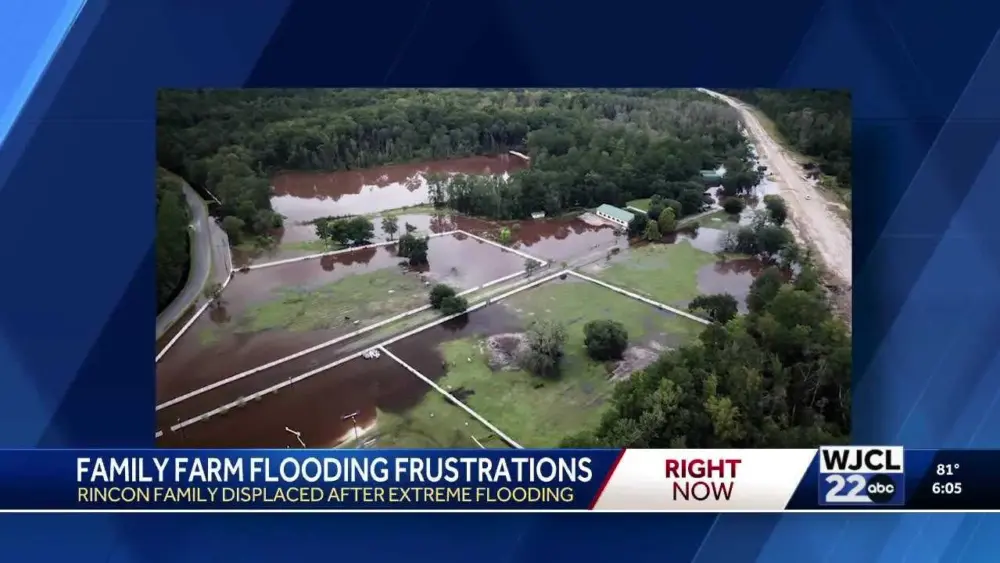 Owners worry as flooding devastates Rincon equestrian center