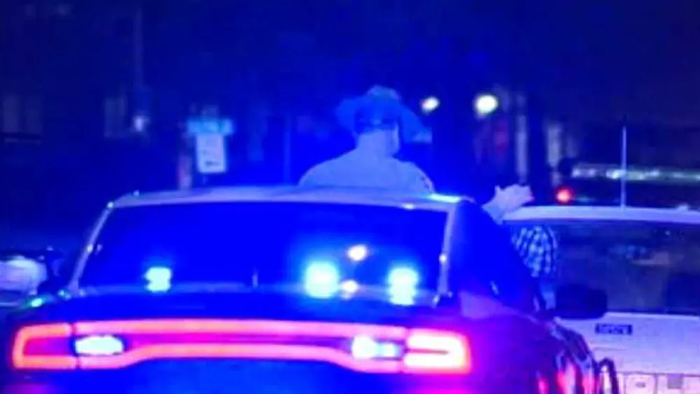 Troopers: 5-year-old struck and killed near school bus stop in Screven County