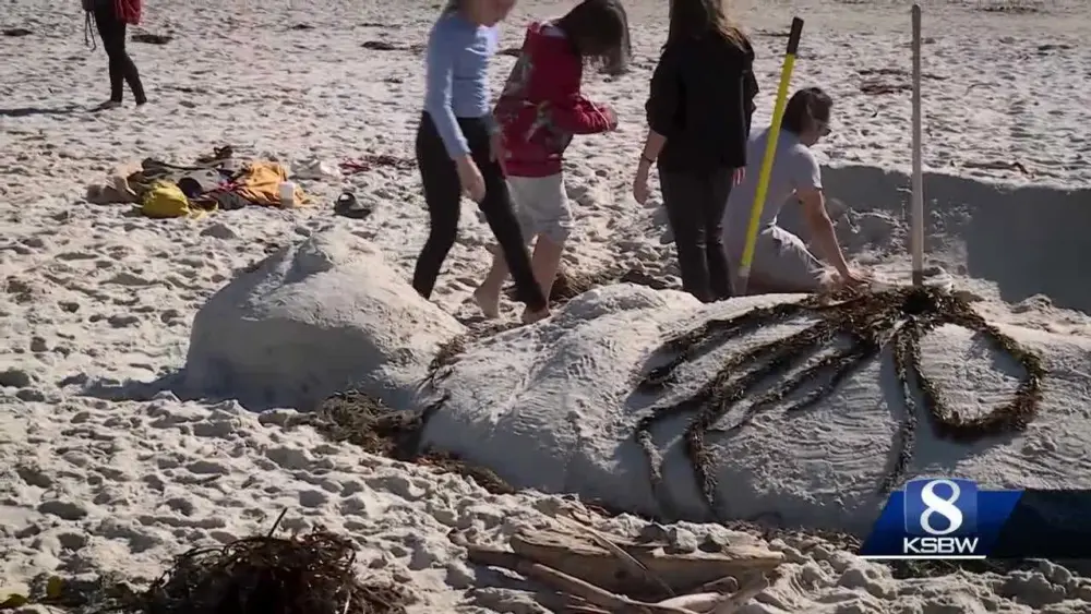 '﻿﻿﻿With sand, you can create just about anything': Town hosts legendary sandcastle contest