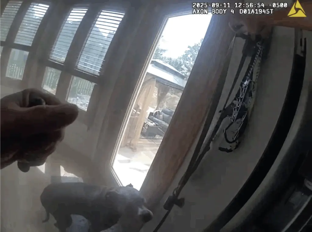 VIDEO: Dog leads officer to his leash before escaping house fire
