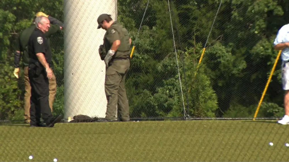 Eagle rescued from driving range in after unexpected visit