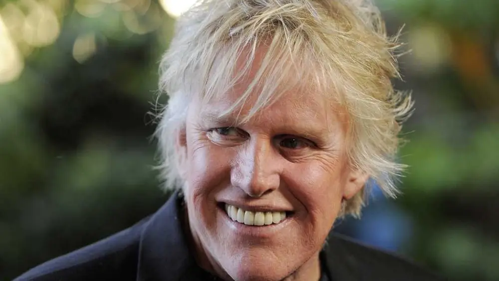 Gary Busey gets probation for sexual offense at 2022 horror convention
