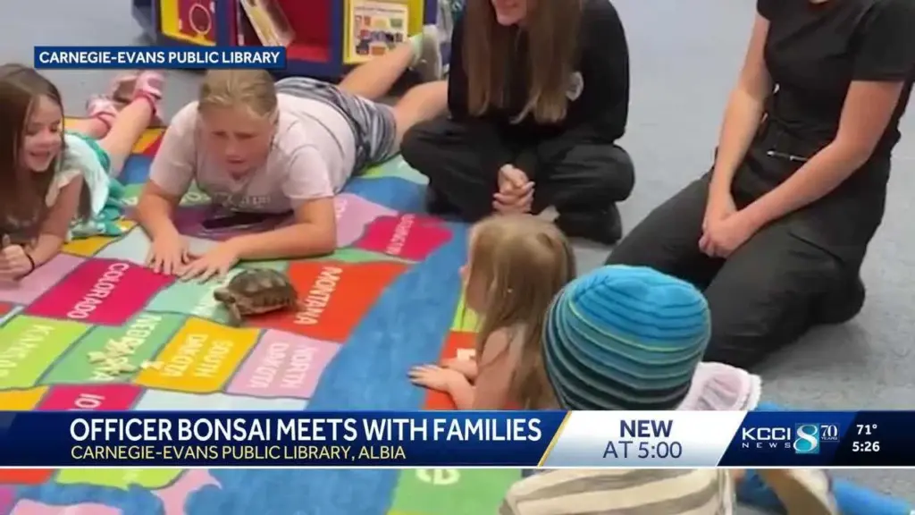 Meet Officer Bonsai, a rescued tortoise that joined an Iowa police department as honorary member